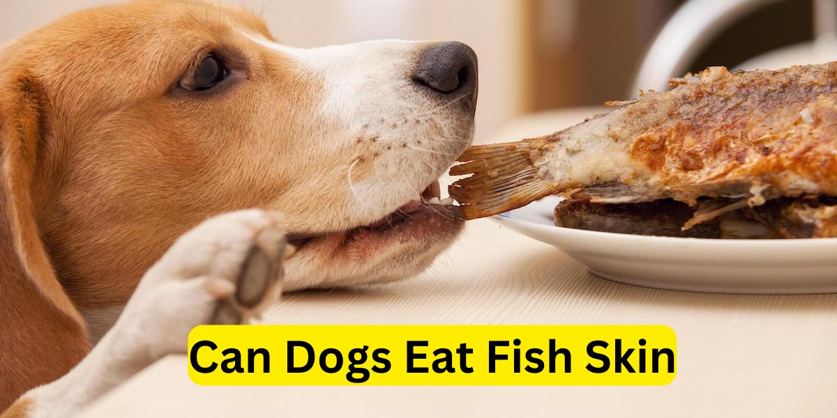 Can Dogs Eat Fish Skin